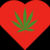 Cannabis ökar risk för hjärtinfarkt bland yngre